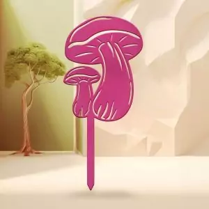 Champignons #01