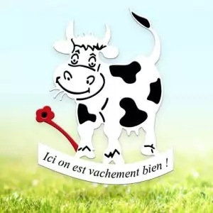 Vachement bien #02 - double tôle