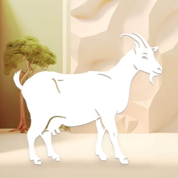 Chèvre #01