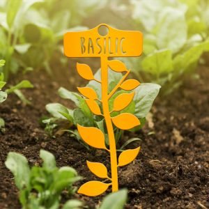 POTAGER - Basilic