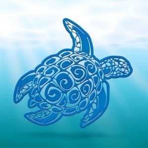 Tortue #01