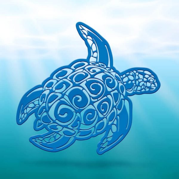 Tortue #01