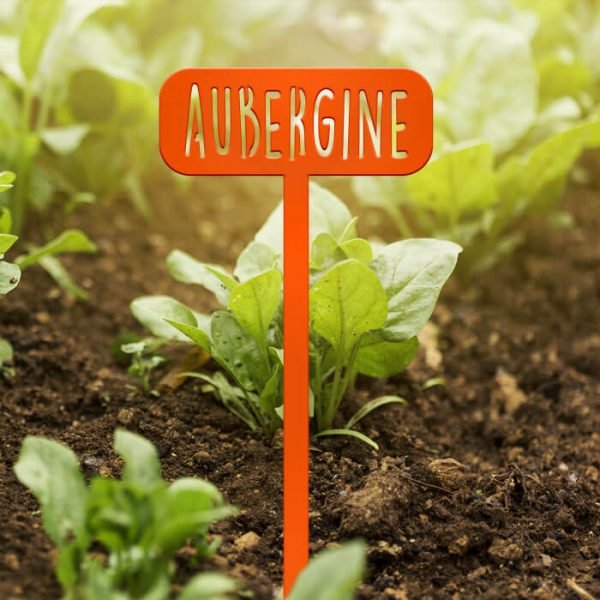 POTAGER - Aubergine