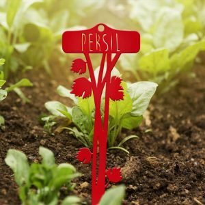 POTAGER - Persil