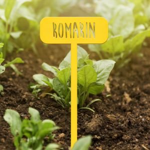 POTAGER - Romarin