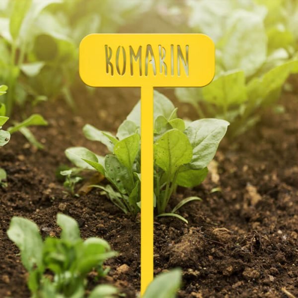 POTAGER - Romarin