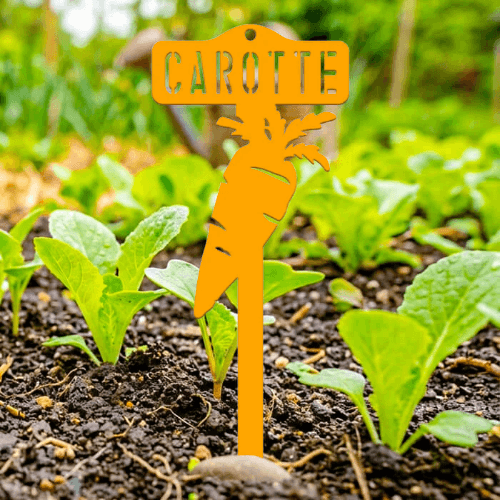 étiquette potager carotte