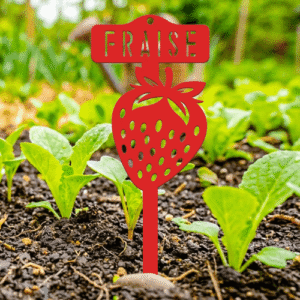 étiquette potager fraise