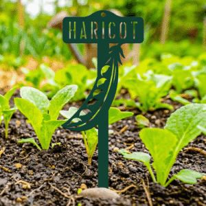 étiquette potager haricot