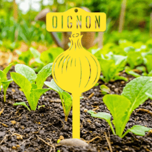étiquette potager oignon