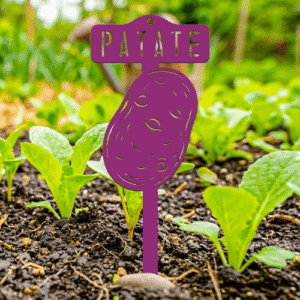 étiquette potager patate