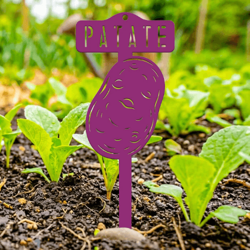 étiquette potager patate