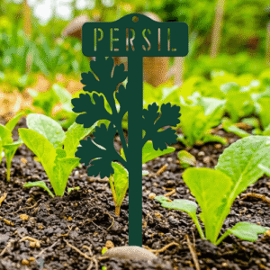 étiquette potager persil