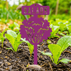 étiquette potager salade