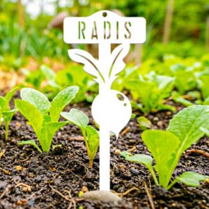 étiquette potager radis